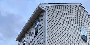 Best Vinyl Siding Installation  in Yutan, NE